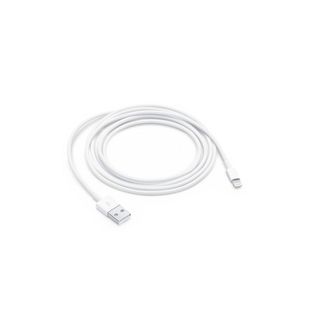Apple Lightning to USB Cable 1m image 0