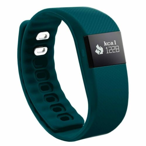 GEMS Activity Tracker - Dark Teal image 0