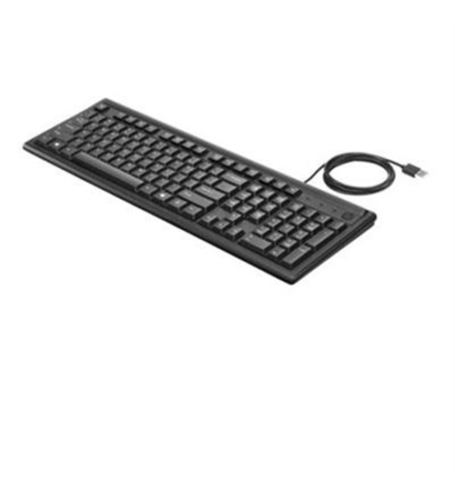 HP 100 (2UN30AA) Wired Keyboard - Black image 0